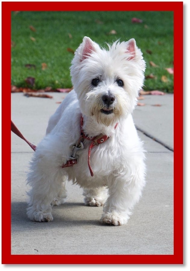 June2021 walk June2021 walk