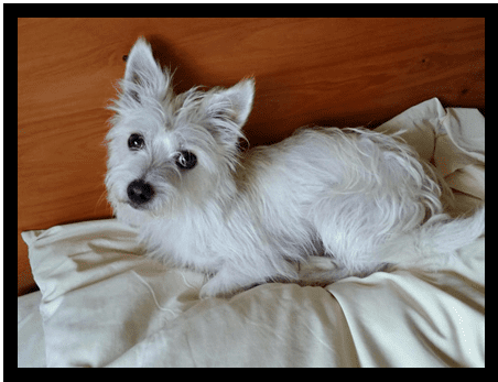 Cooper Cooper