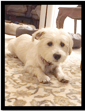 MacDuff MacDuff