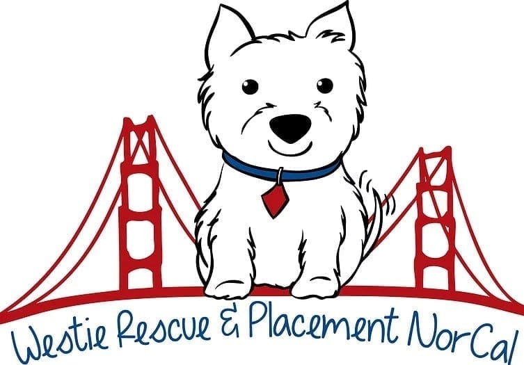 No Westies Currently Available - Check Back Soon