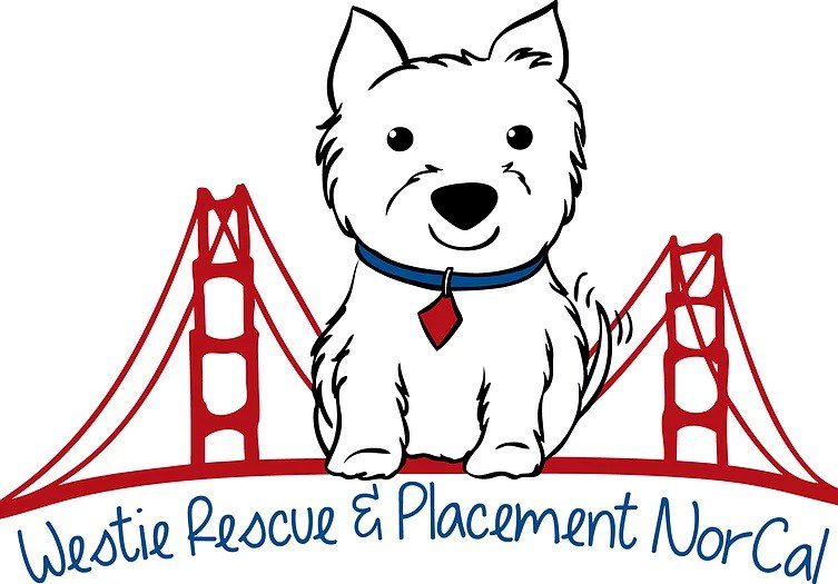 No Westies are currently available for adoption - please check back soon!